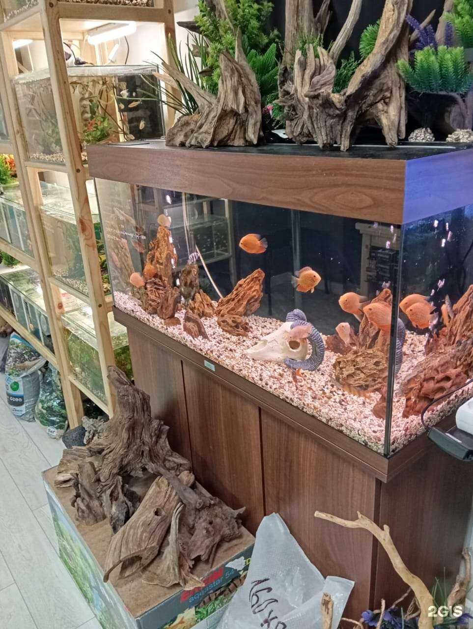 Отзывы на компанию АкваКубик в Нижнем Новгороде c фото