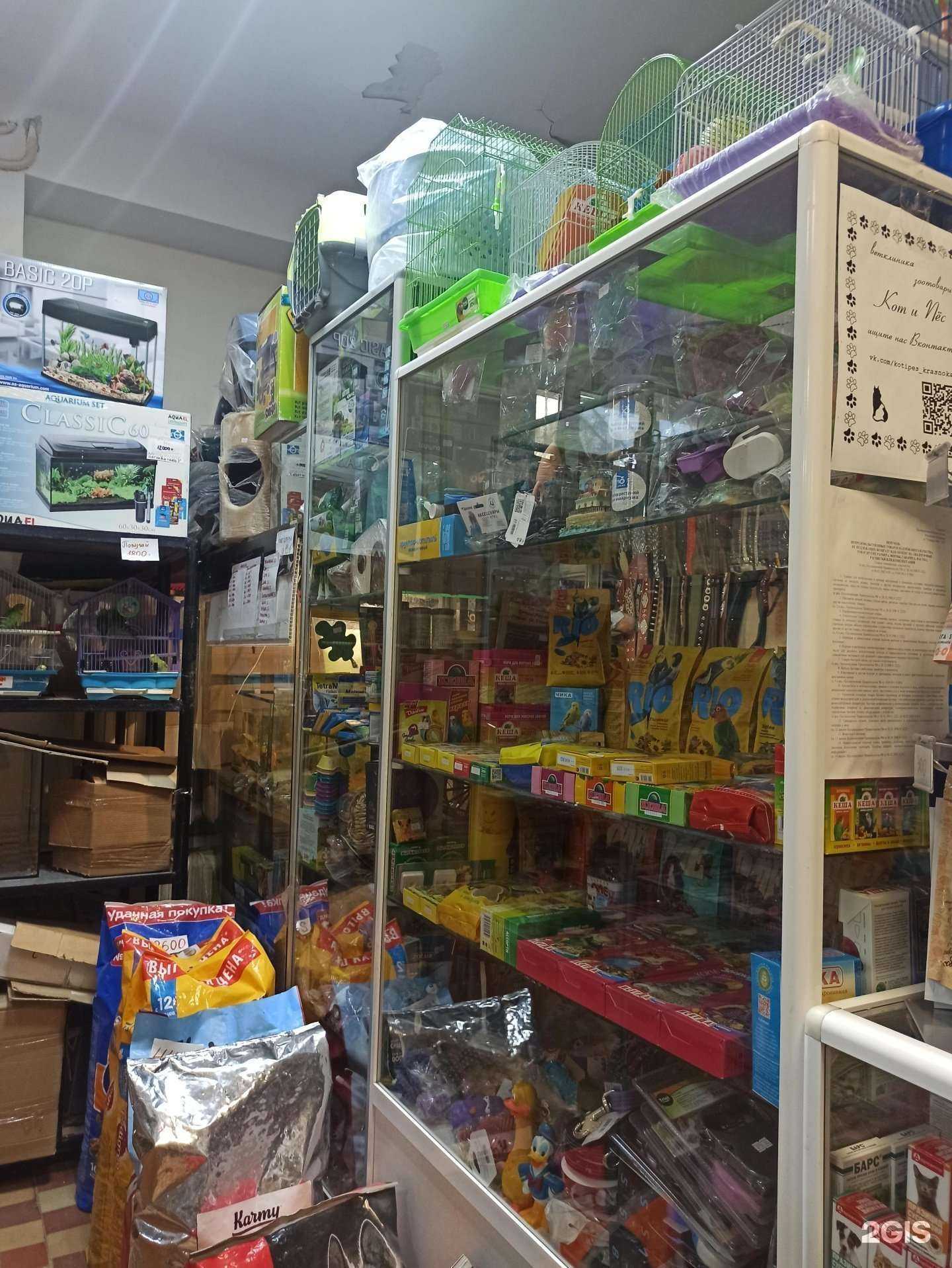 Отзывы на компанию Кот и пес в Краснокамске c фото