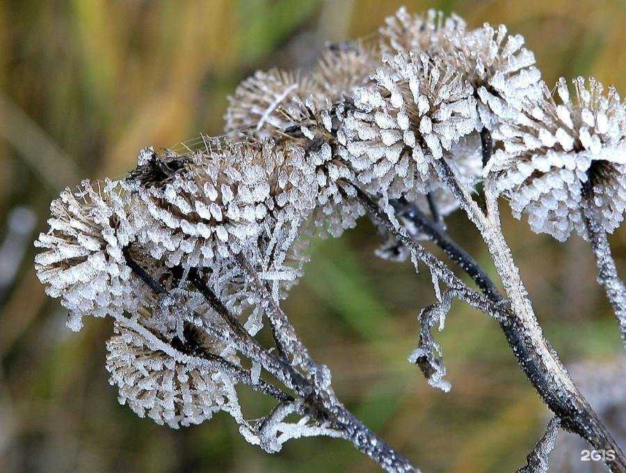 Отзывы на компанию Третий путь в Туле c фото