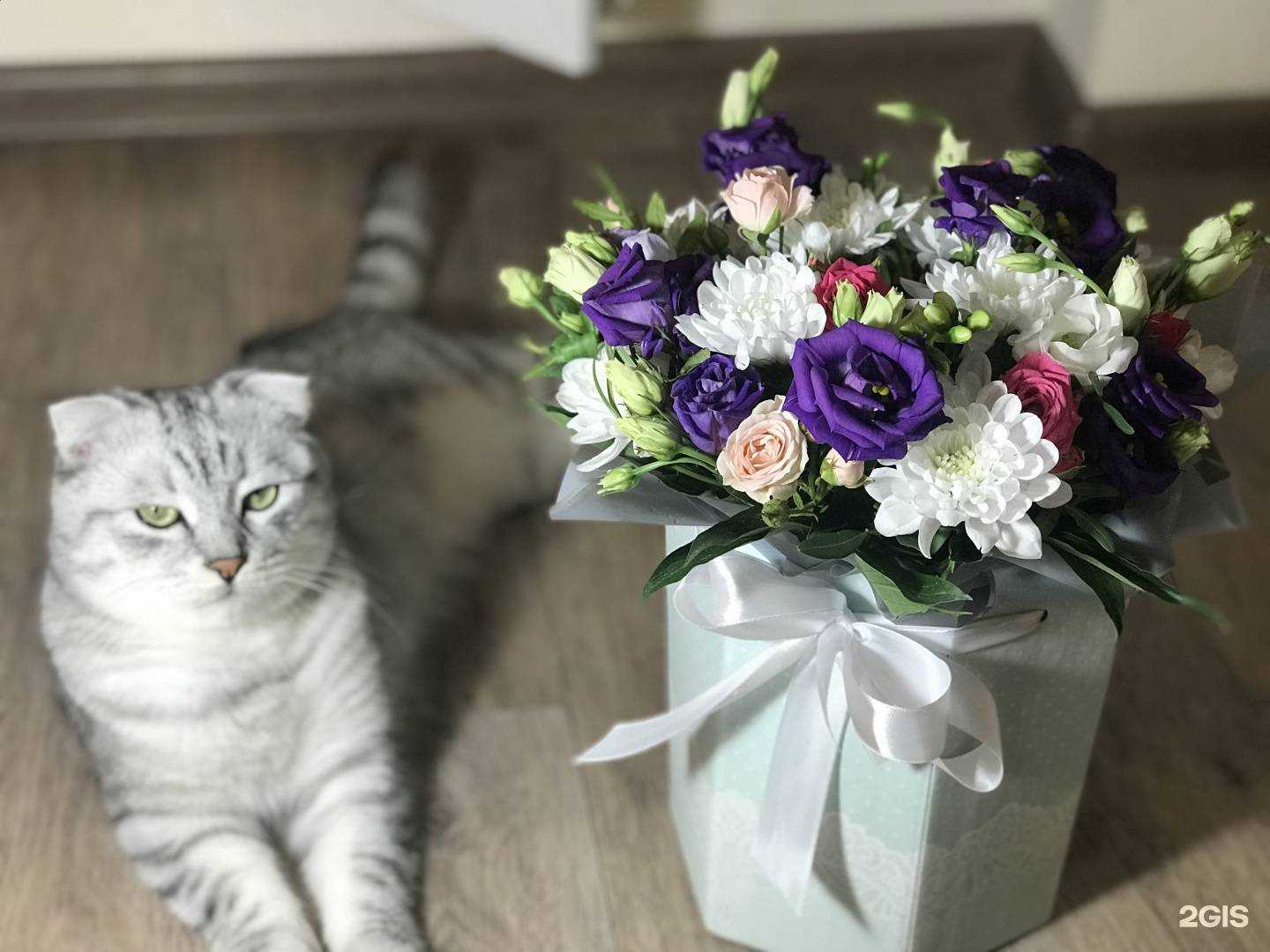 Отзывы на компанию Цветочный секрет в Набережных Челнах c фото