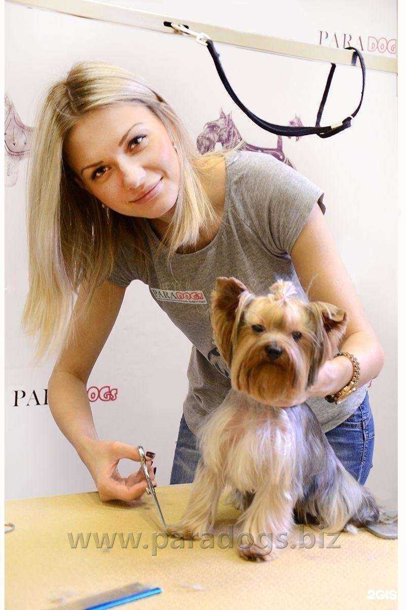 Отзывы на компанию Codos в г. Екатеринбург c фото