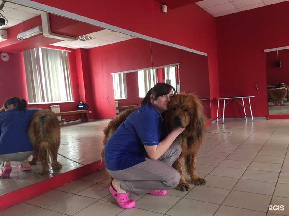 Отзывы на компанию Лидер в Магнитогорске c фото