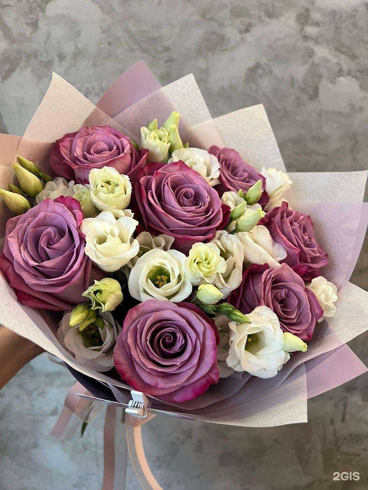 Отзывы на компанию Верба в Дальнегорске c фото