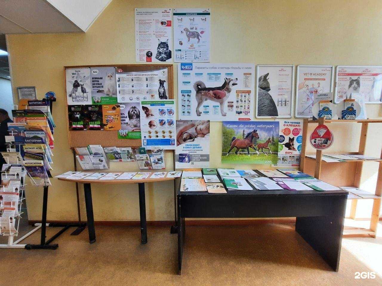 Отзывы на компанию Союз-вет в Перми c фото