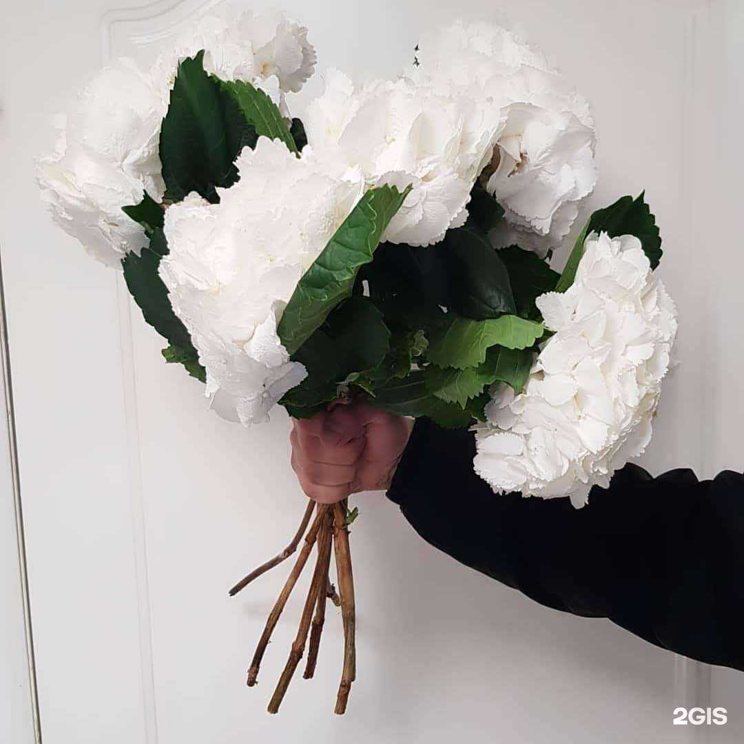 Отзывы на компанию ФлораОпт в г. Екатеринбург c фото