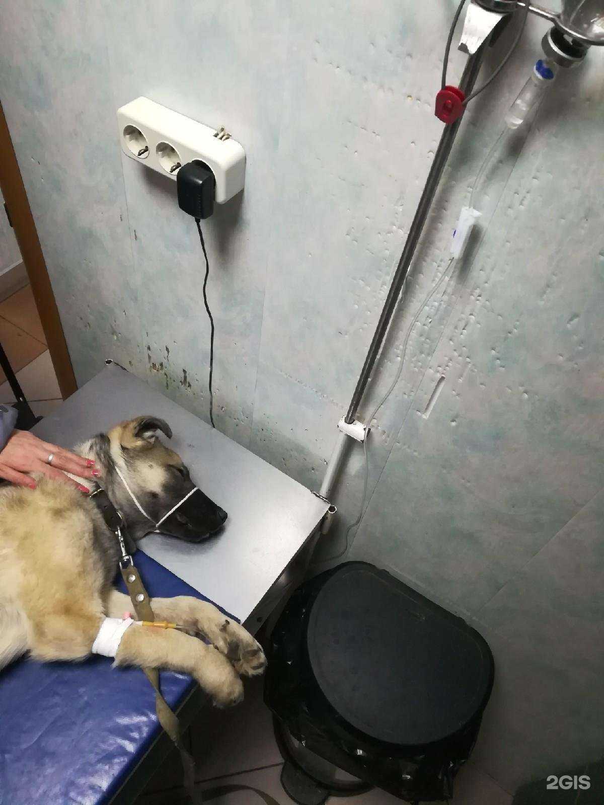 Отзывы на компанию Панта Рэй в Кургане c фото