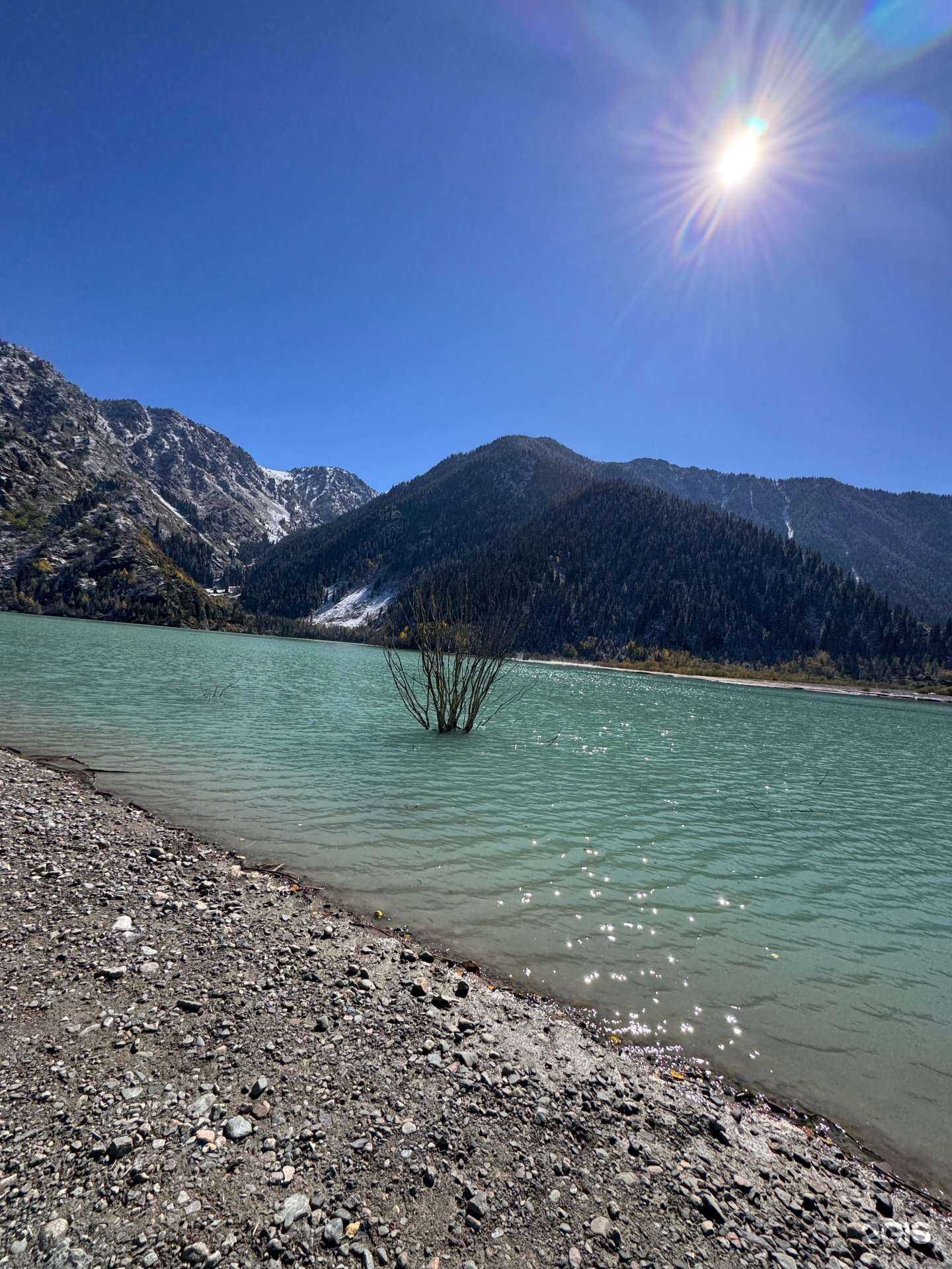 Отзывы на компанию Спортивный клуб в Северске c фото - фотография 2 из 2