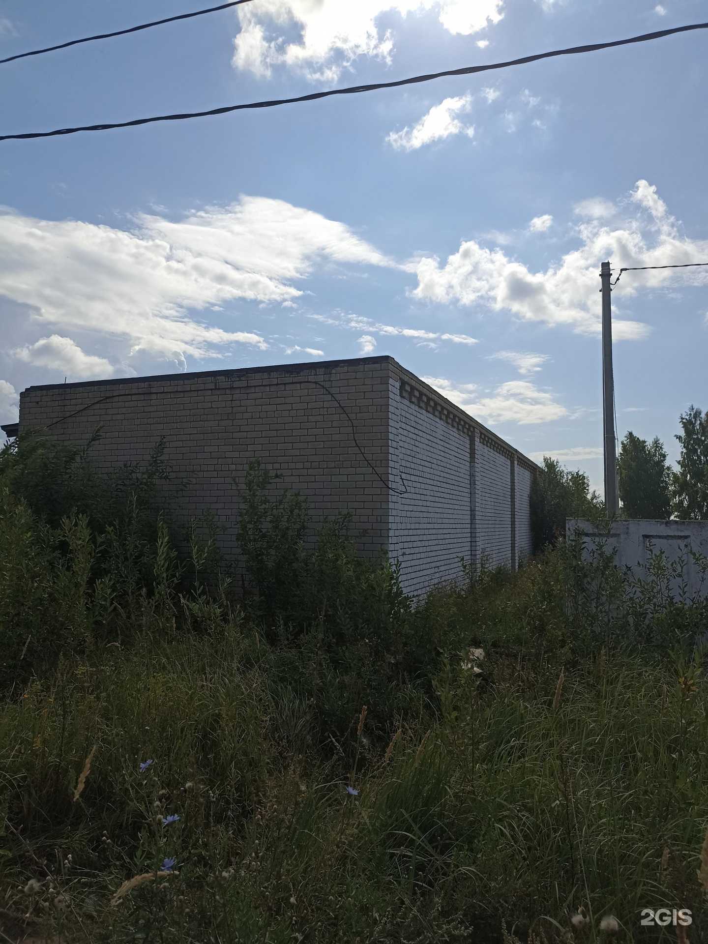 Отзывы на компанию Роза в Елабуге c фото - фотография 2 из 2