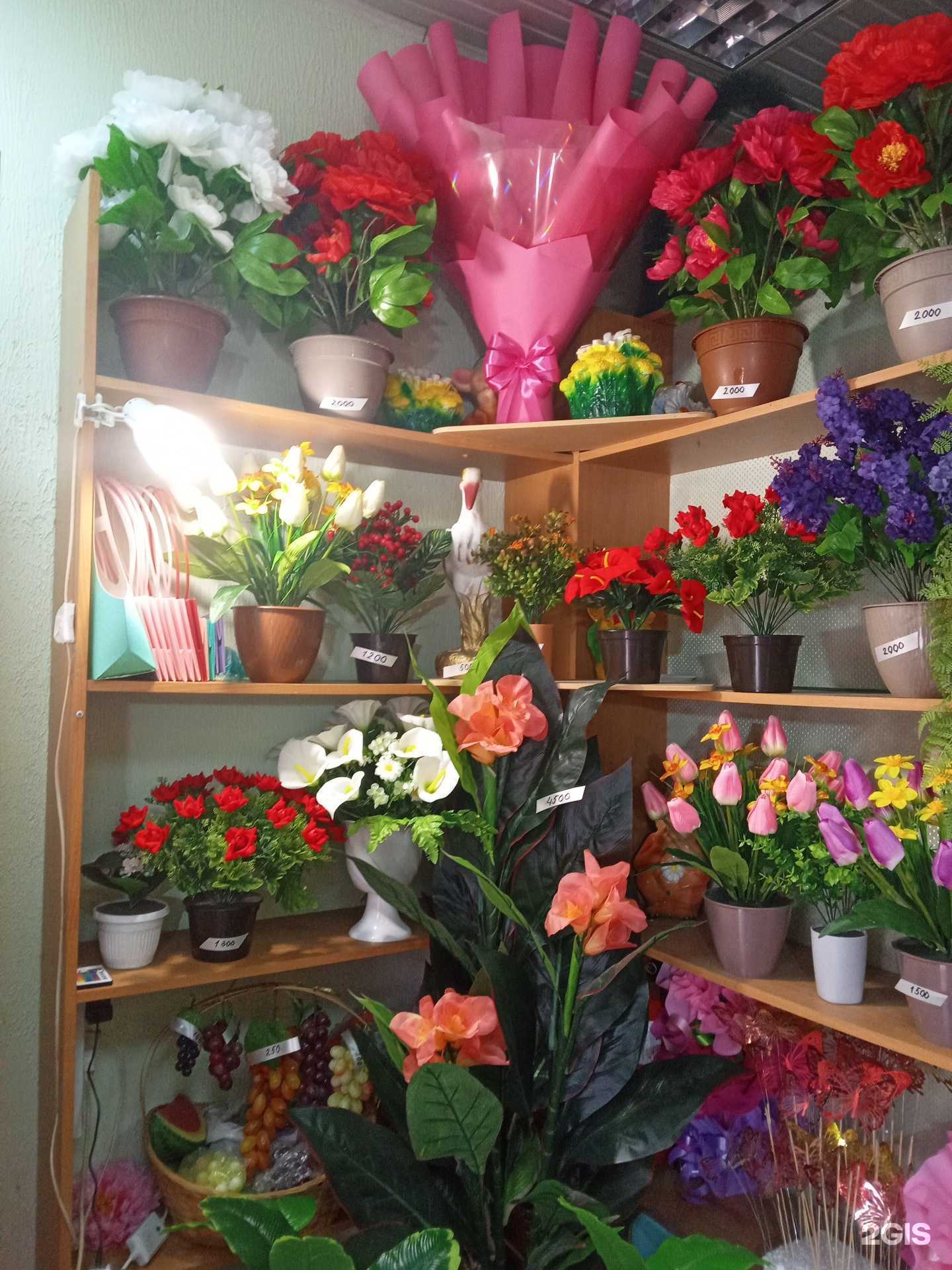 Отзывы на компанию Цветник в Новороссийске c фото