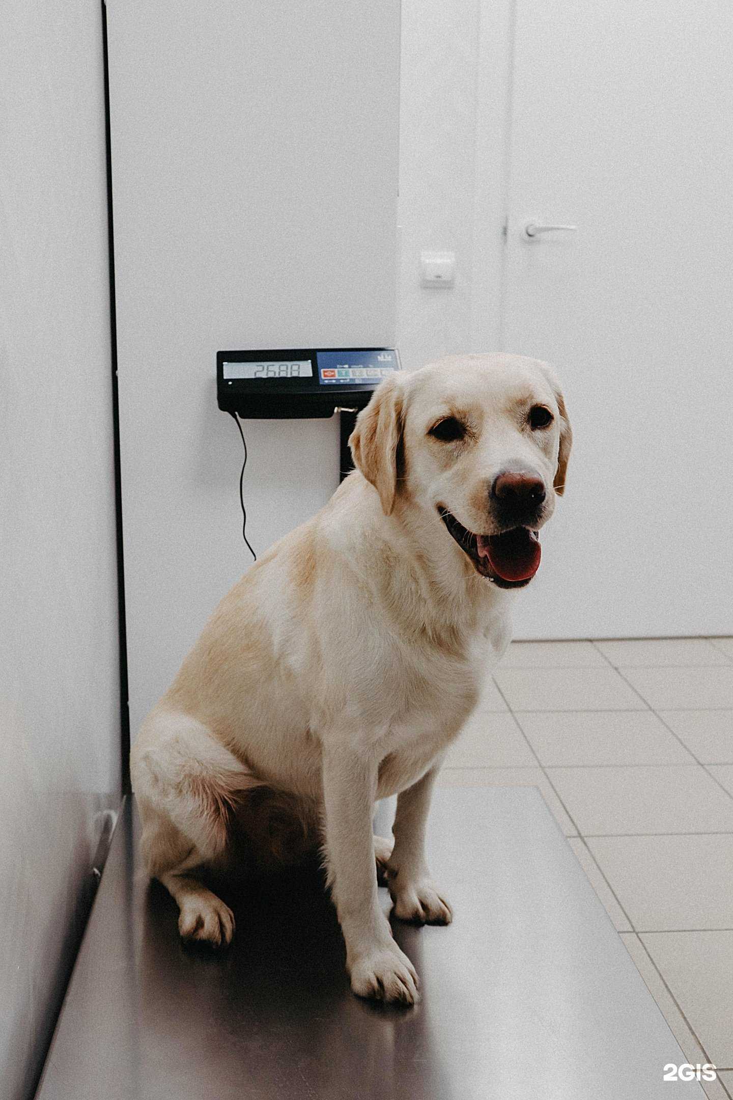 Отзывы на компанию Красный Кролик в Новосибирске c фото