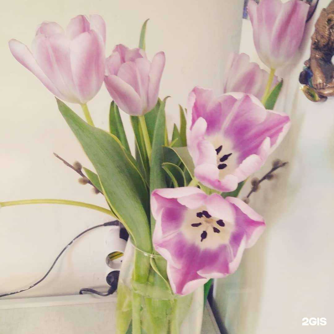 Отзывы на компанию Flower box в Новосибирске c фото