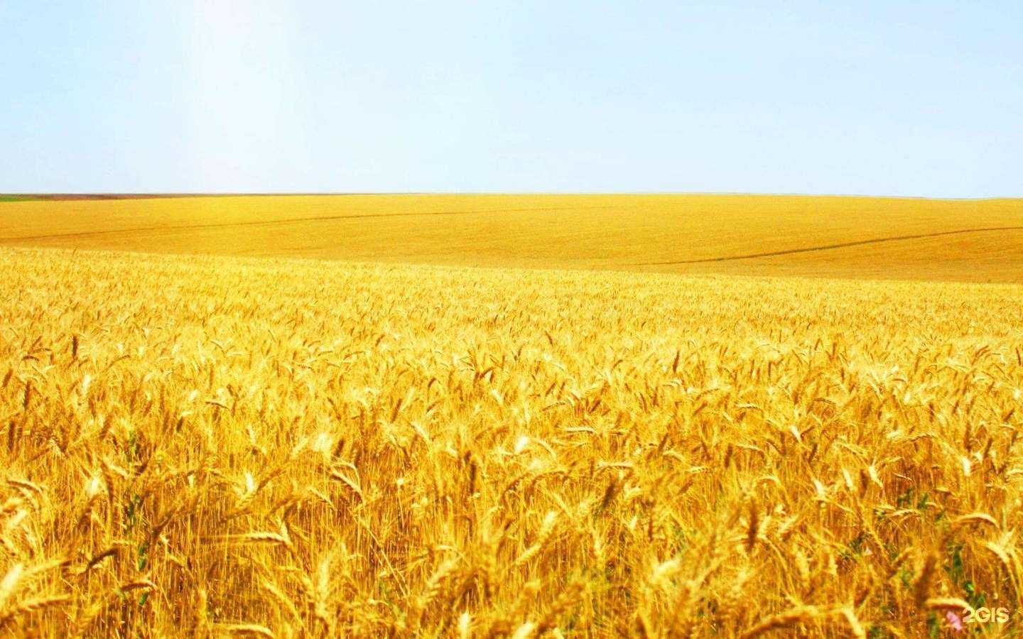 Отзывы на компанию Интеграция в г. Томск c фото