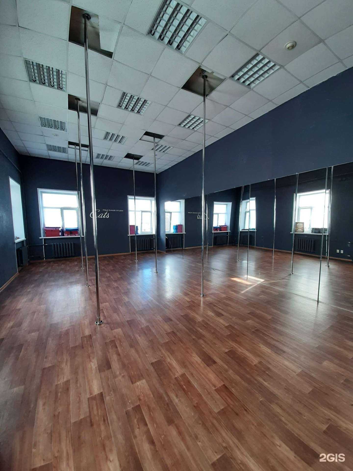 Отзывы на компанию Cats в г. Петрозаводск c фото