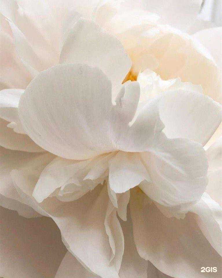 Отзывы на компанию Beauty hall в г. Уссурийск c фото