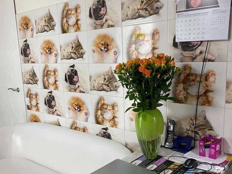 Отзывы на компанию Панда+ в Волгограде c фото