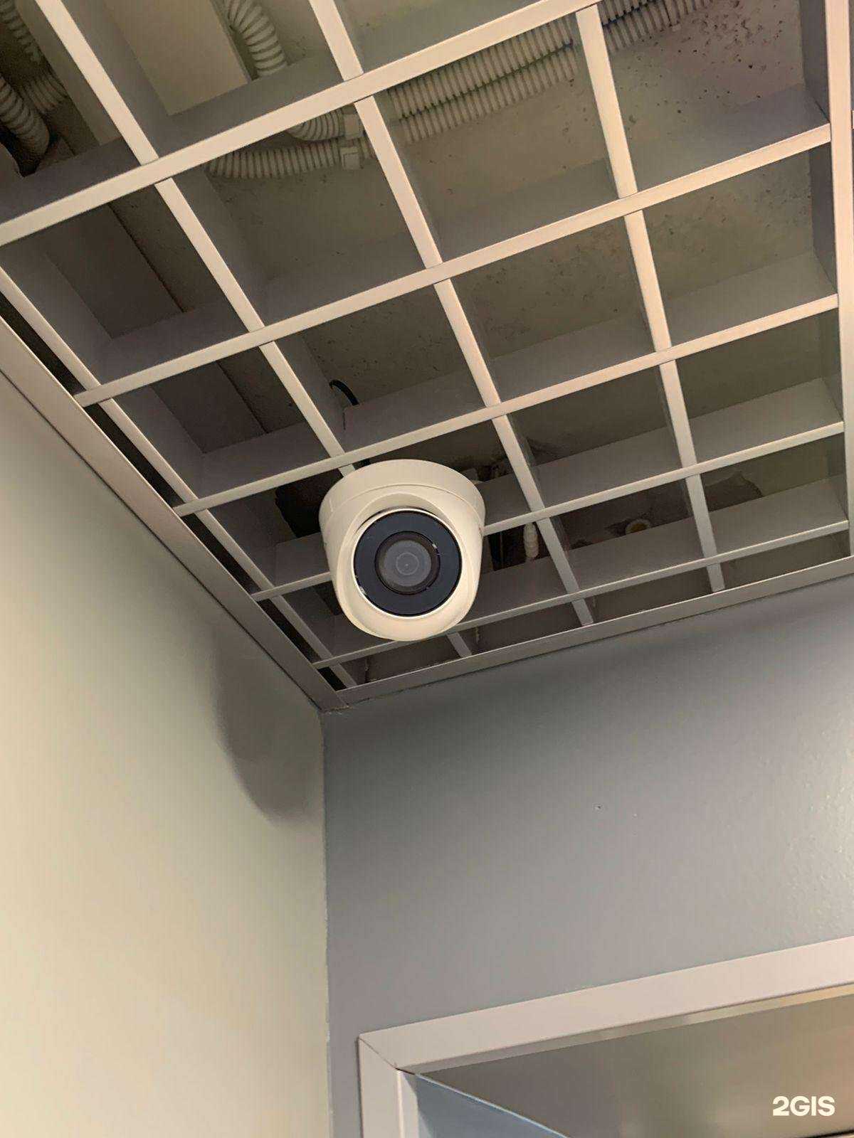 Отзывы на компанию Sotkur в Курске c фото