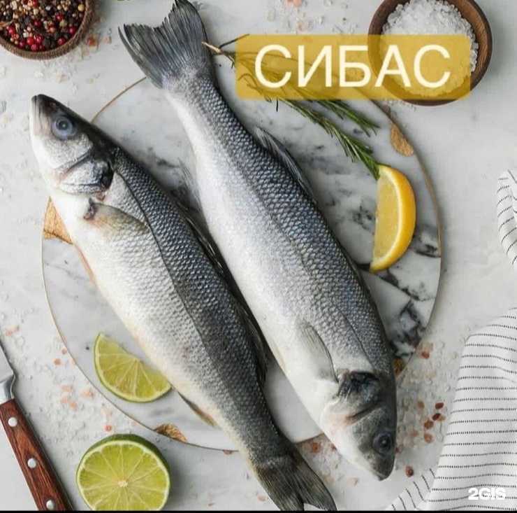 Отзывы на компанию Amal в г. Махачкала c фото