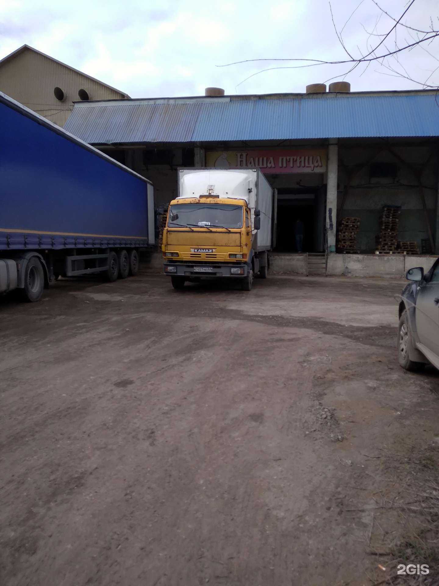 Отзывы на компанию Наша птица в г. Саратов c фото