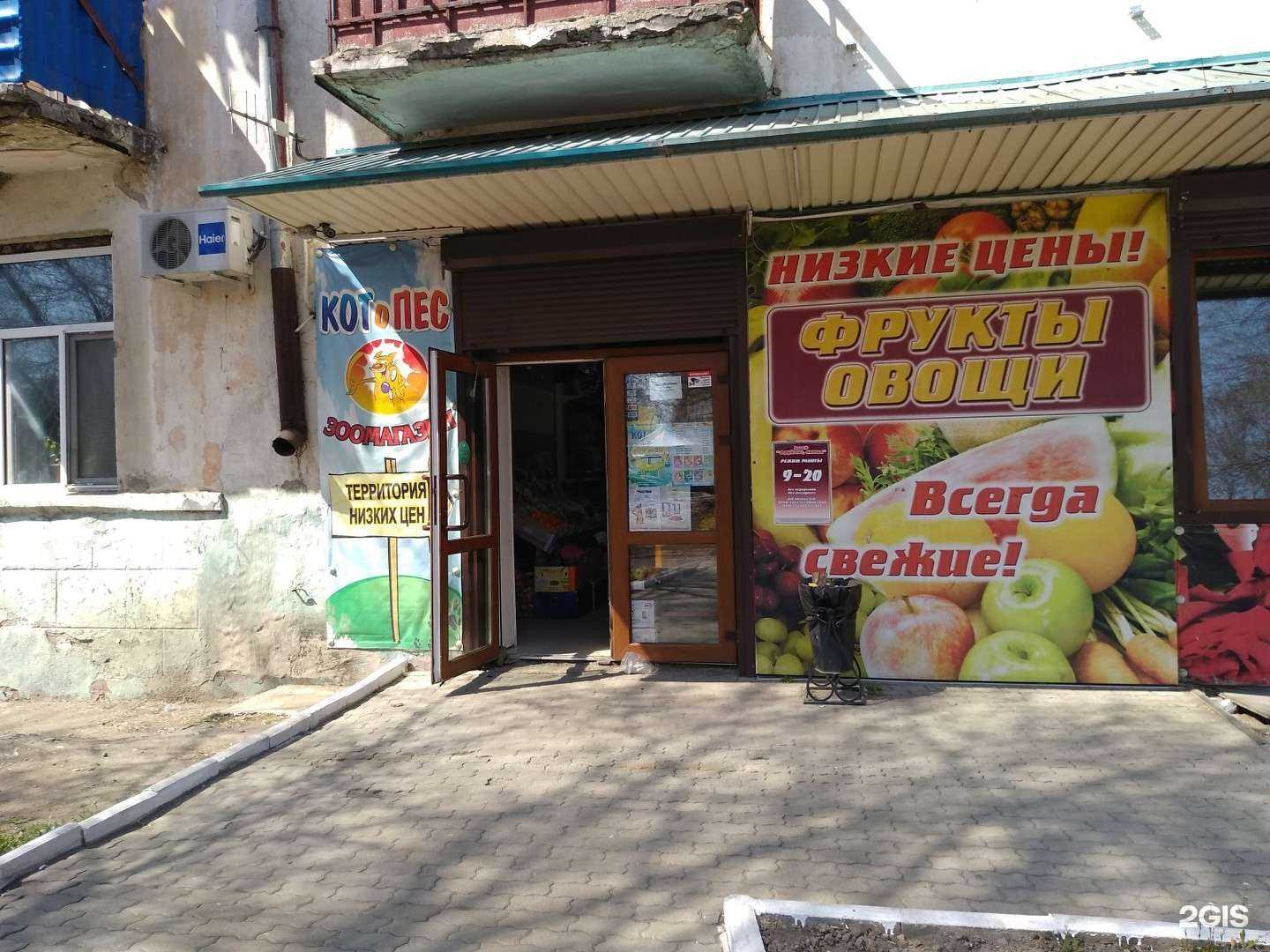 Отзывы на компанию КотоПес в г. Уссурийск c фото