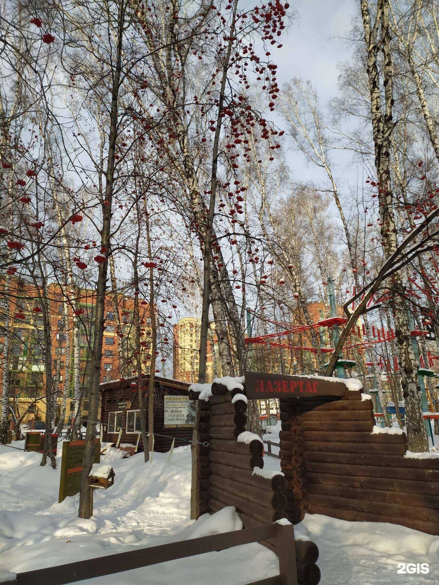 Отзывы на компанию Дот в Новосибирске c фото - фотография 2 из 2