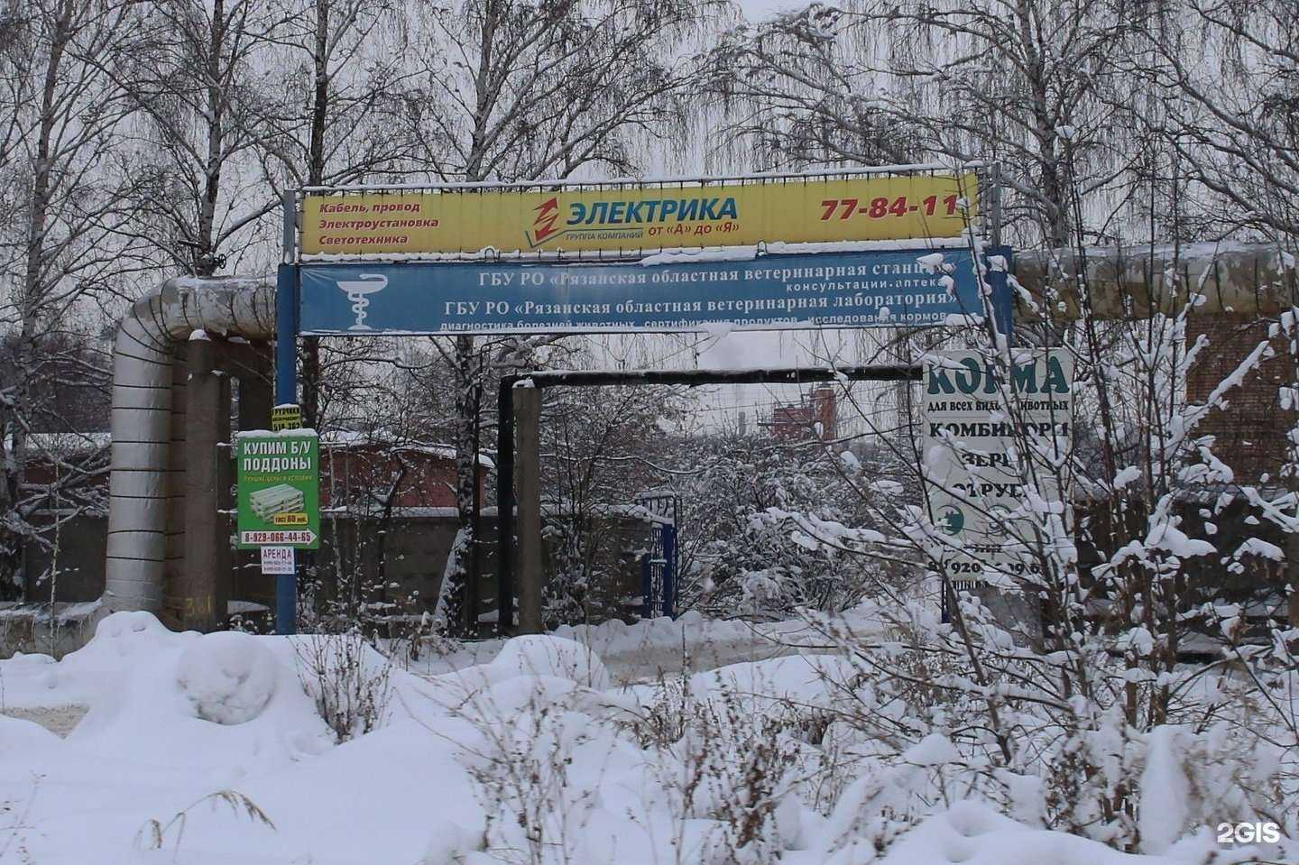 Отзывы на компанию Рязанская областная ветеринарная станция в Рязани c фото