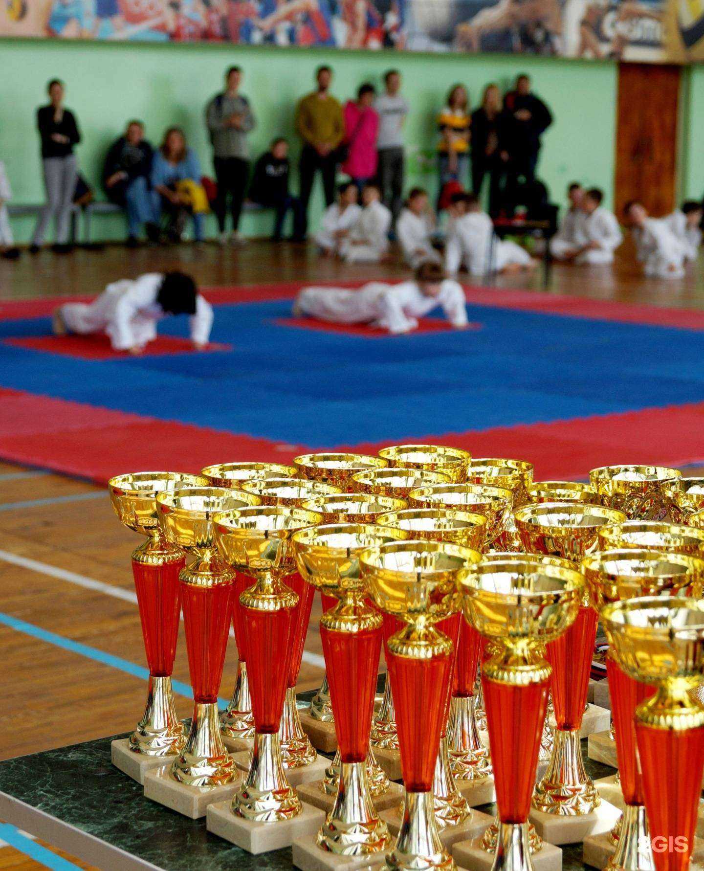 Отзывы на компанию Гладиатор в г. Владимир c фото