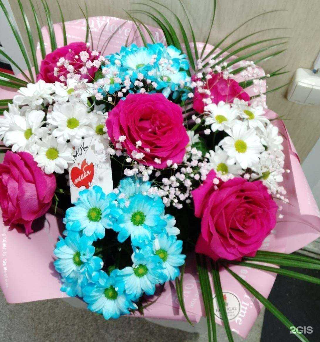 Отзывы на компанию Exotic.42 в Новокузнецке c фото