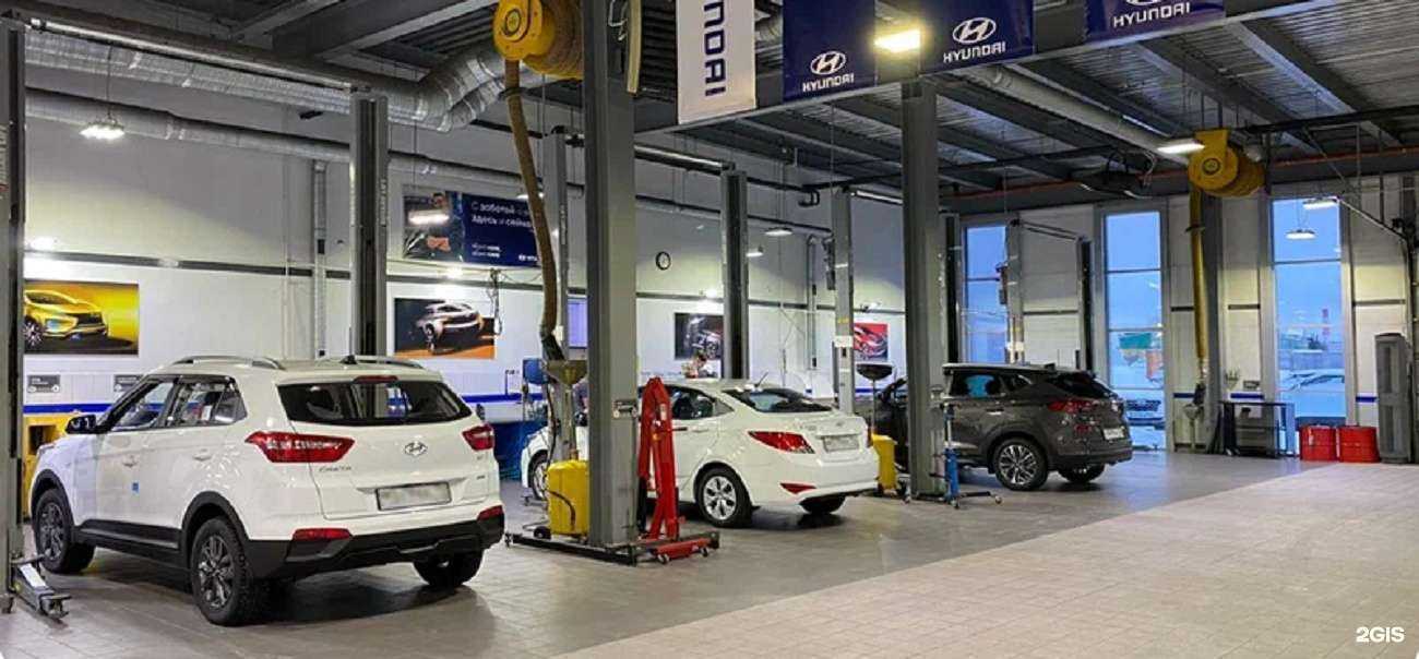 Отзывы на компанию Медведь в Абакане c фото