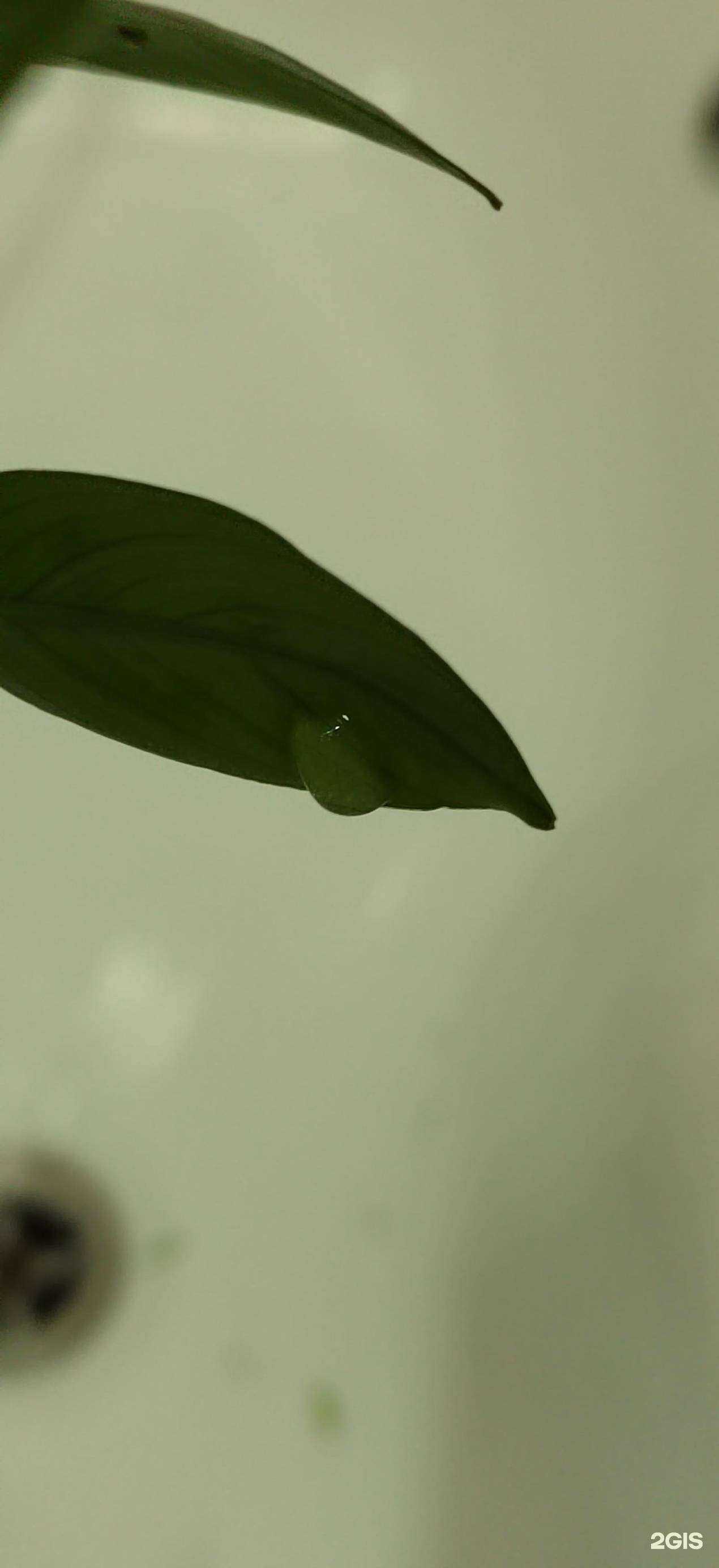 Отзывы на компанию Аква+ в Анапе c фото