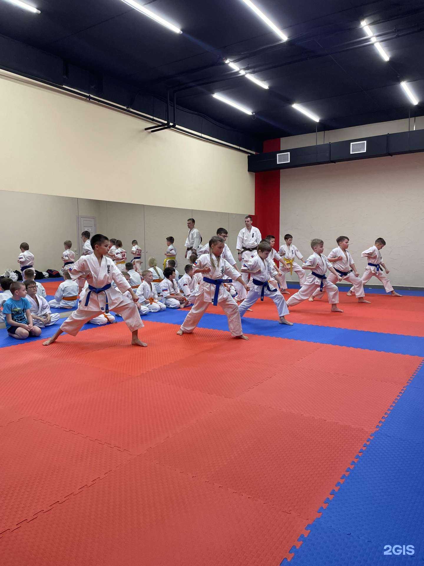 Отзывы на компанию Тикара Додзё в Барнауле c фото