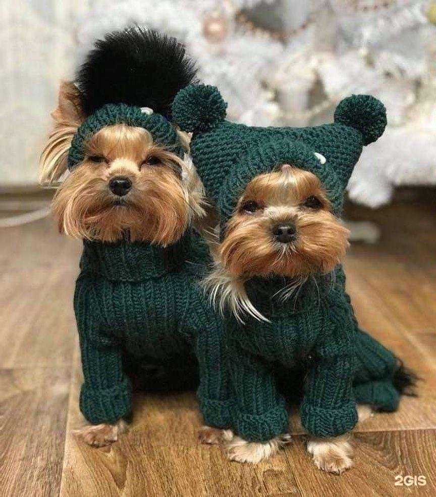 Отзывы на компанию Vetar в г. Балаково c фото