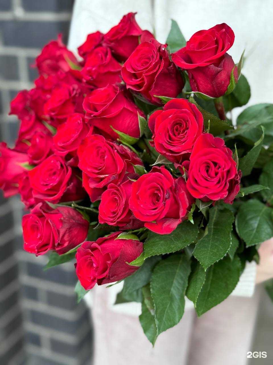 Отзывы на компанию Река Цветов в г. Краснодар c фото