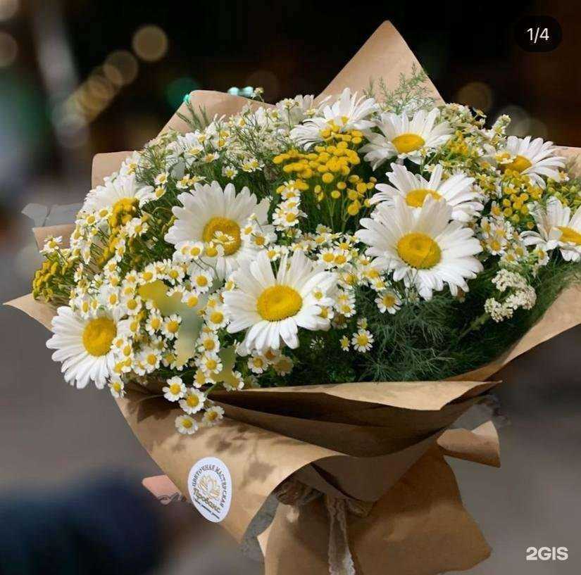 Отзывы на компанию Прованс в г. Ростов-на-Дону c фото