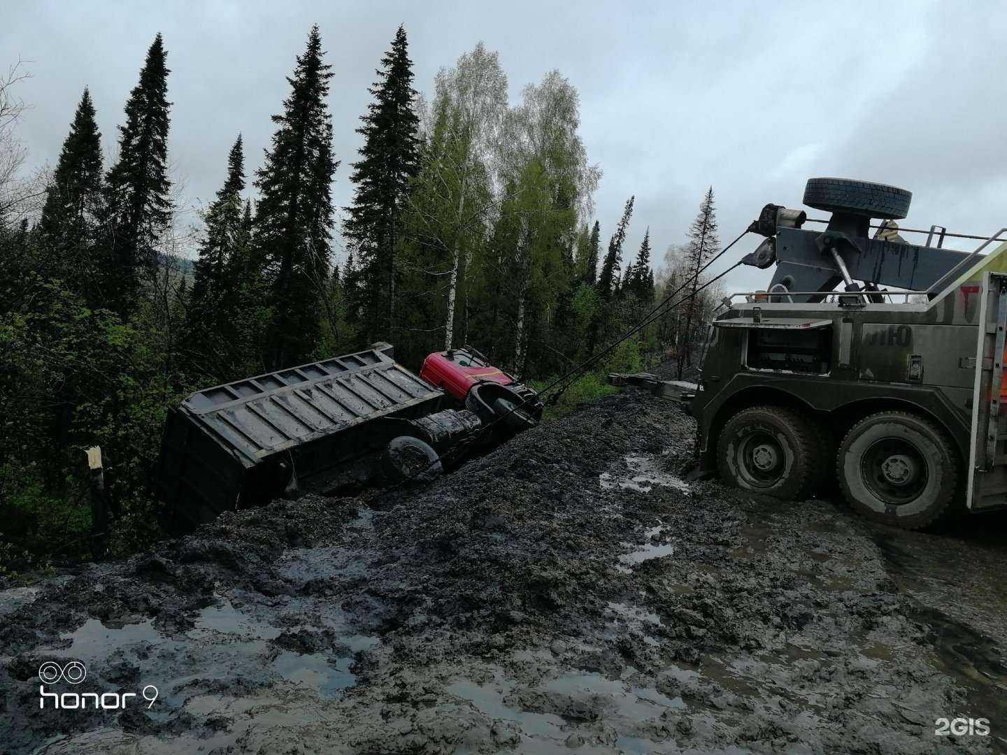 Отзывы на компанию Ферум в г. Кемерово c фото