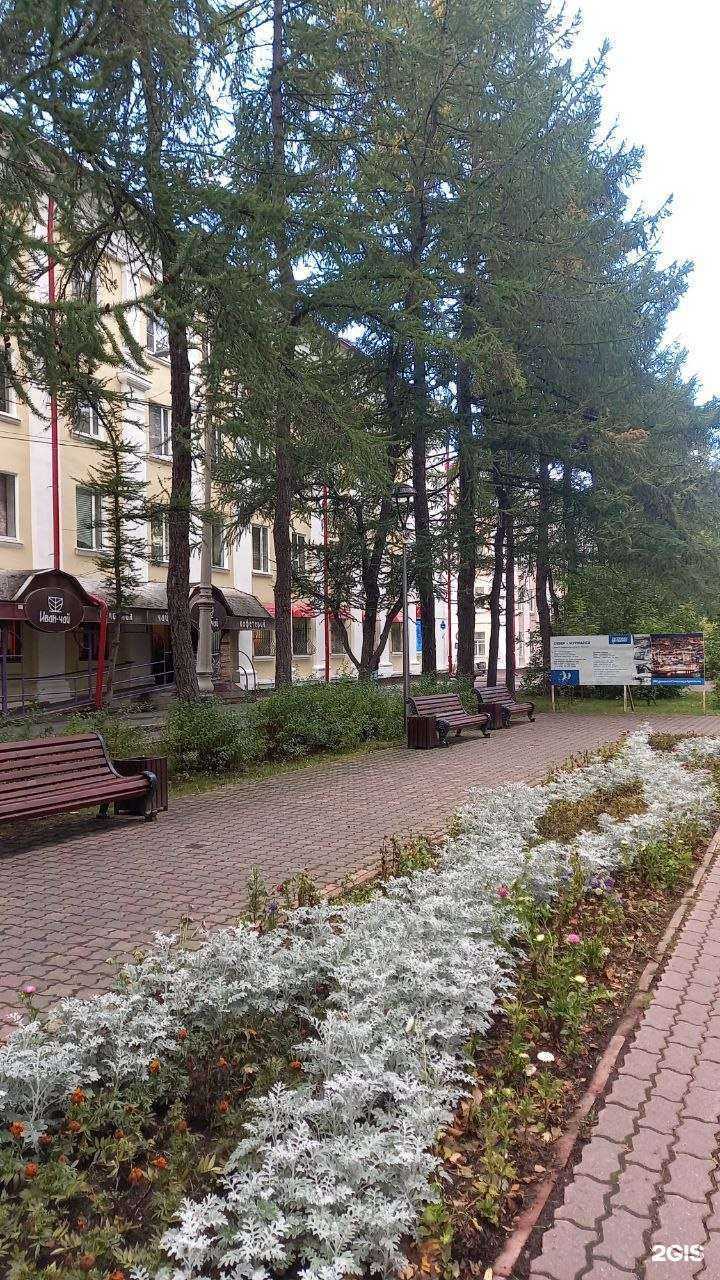 Отзывы на компанию Иван-Чай в Мурманске c фото