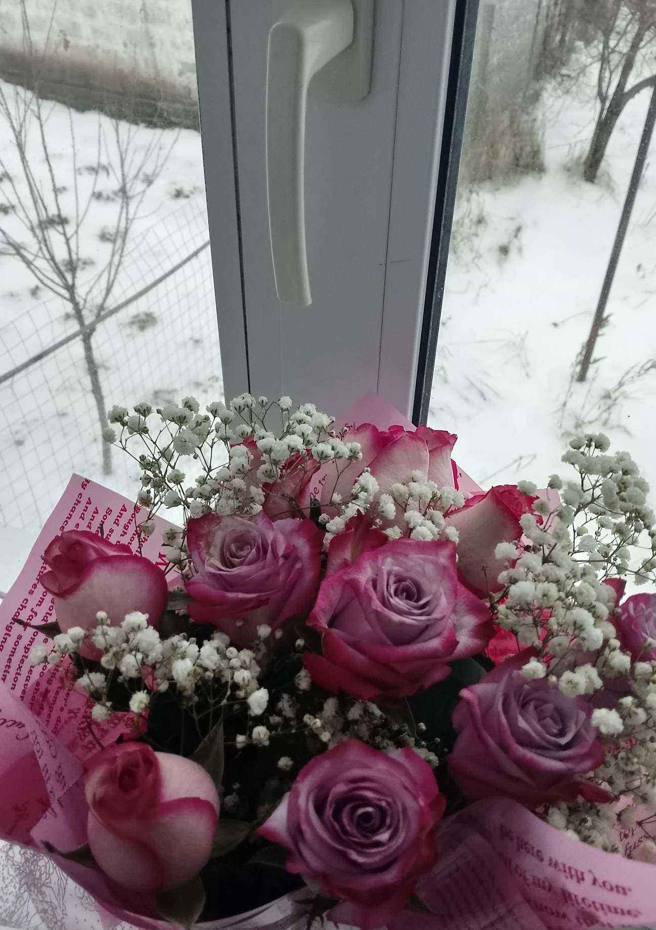 Отзывы на компанию Жасмин в Нижнекамске c фото