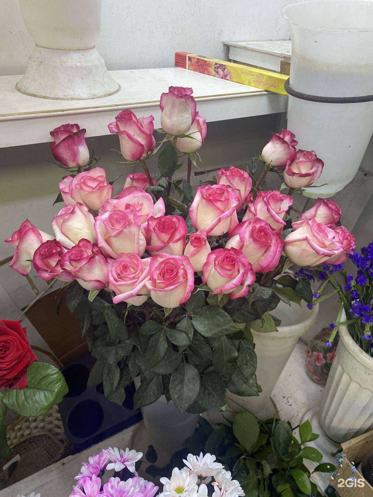 Отзывы на компанию Колибри в Туле c фото - фотография 2 из 2