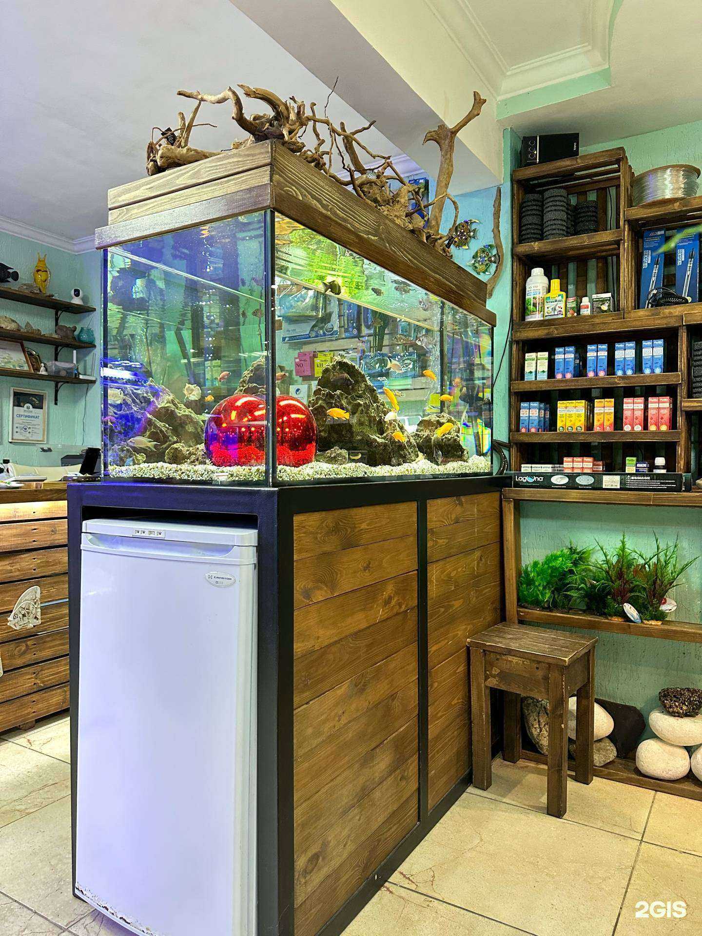 Отзывы на компанию АквариумСочи в г. Сочи c фото