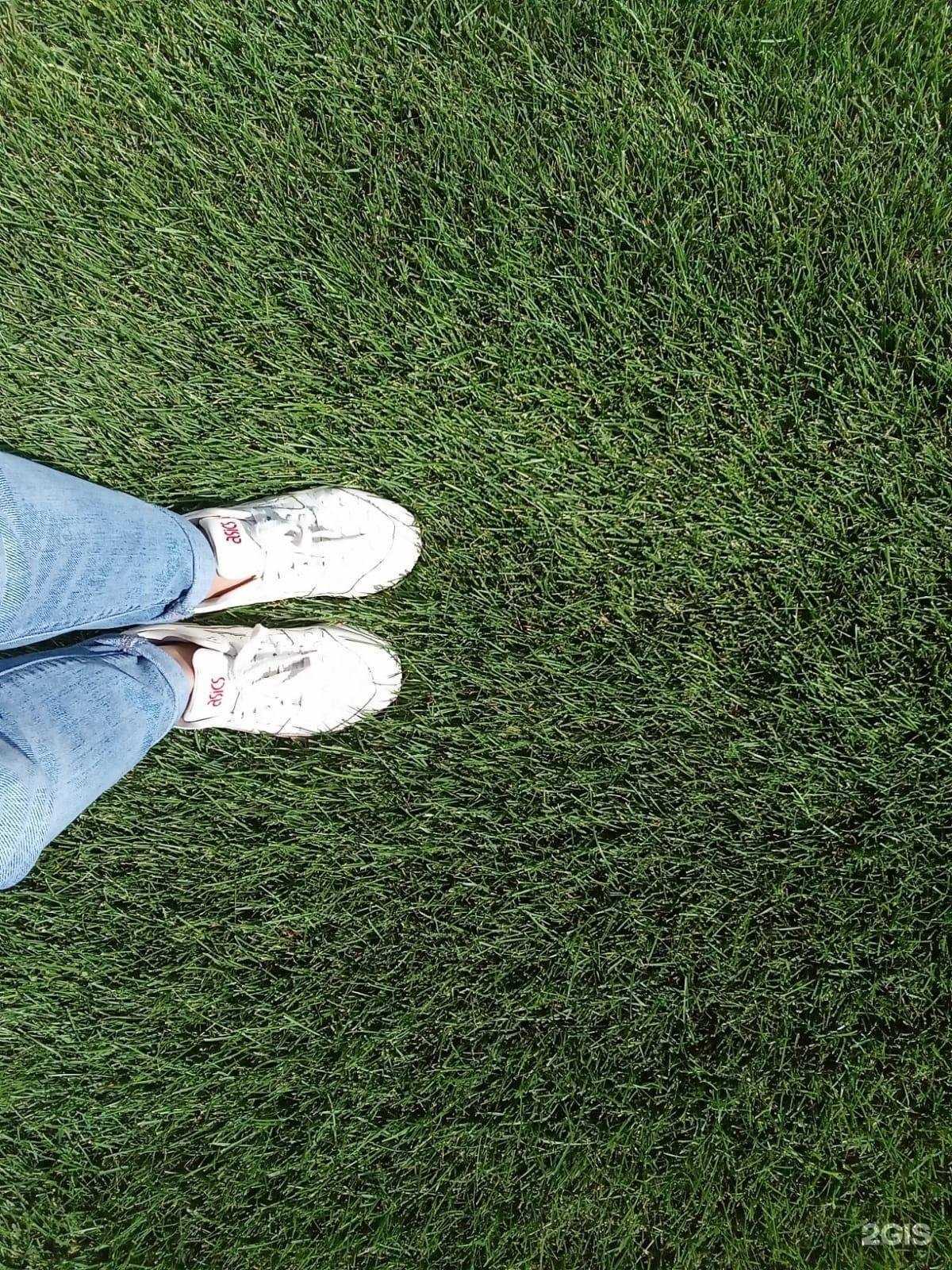 Отзывы на компанию Брусника в Барнауле c фото