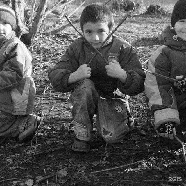 Отзывы на компанию Доктор Дарман в Махачкале c фото