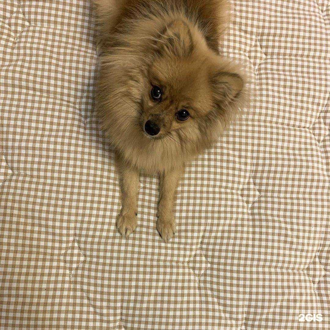 Отзывы на компанию Armos в Красногорске c фото