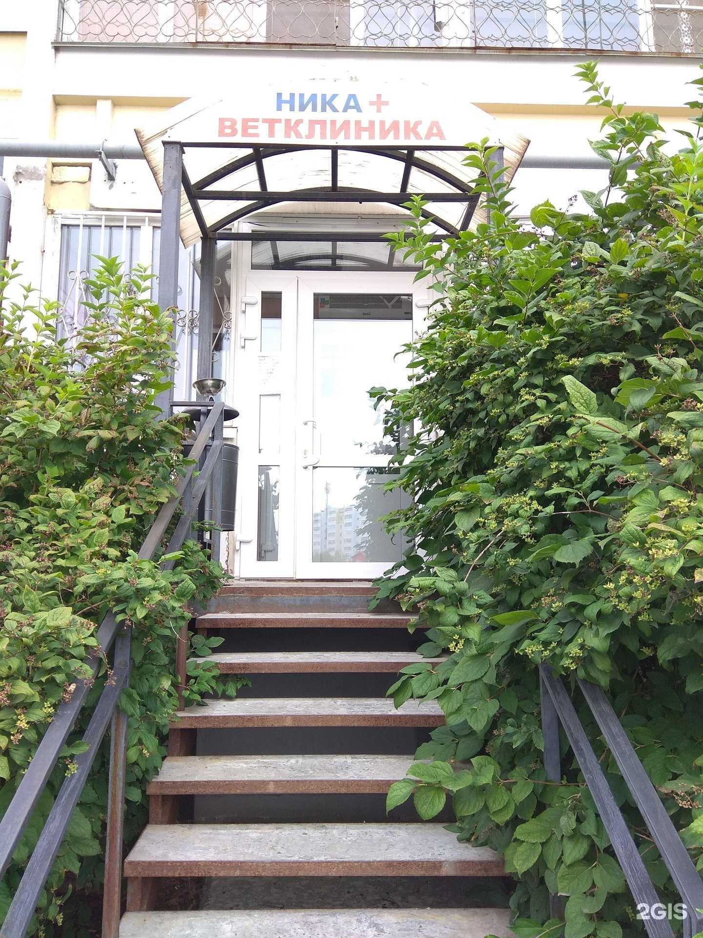 Отзывы на компанию Roxygroom в г. Пермь c фото