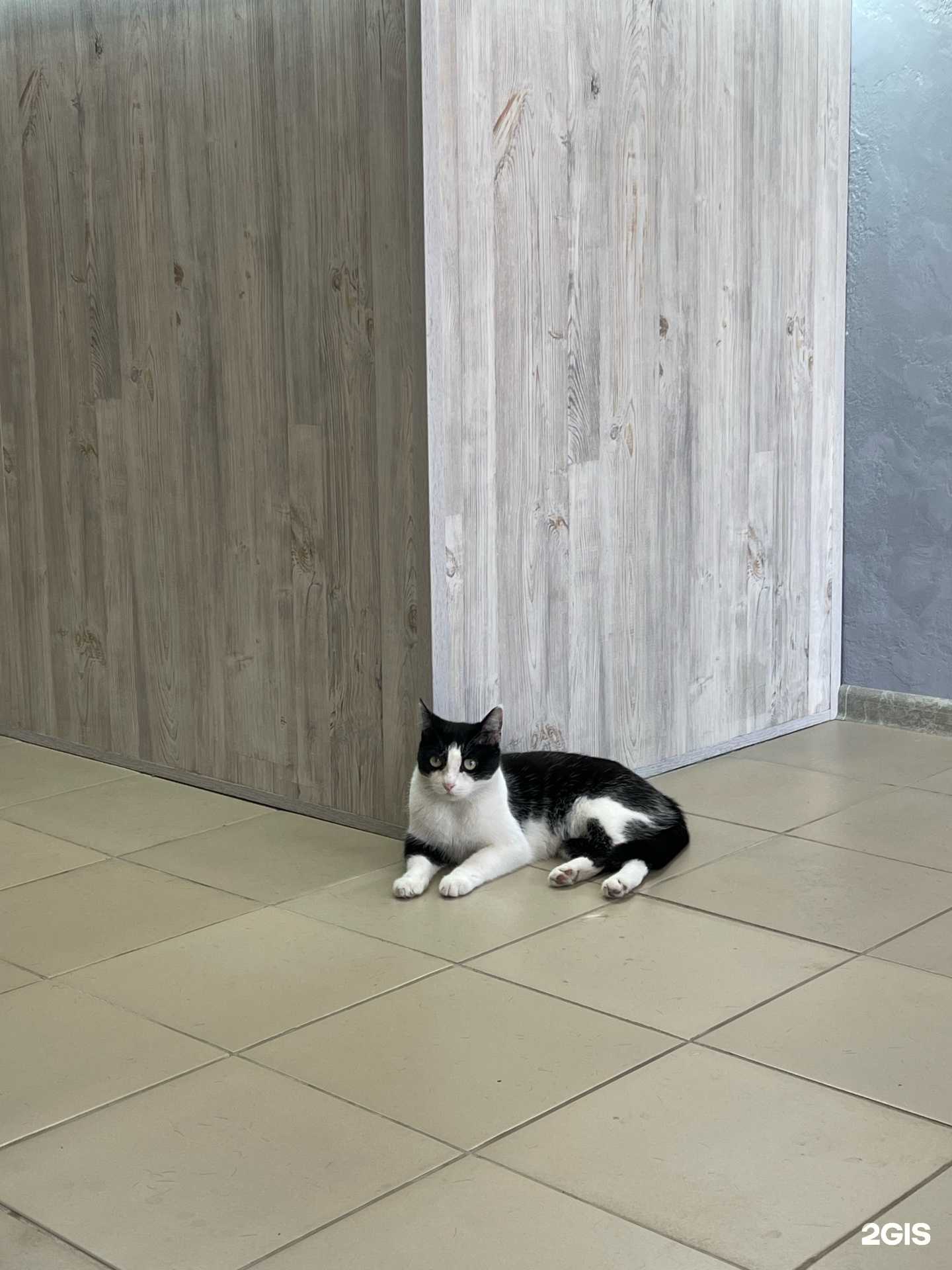 Отзывы на компанию От А до Я в Красноярске c фото