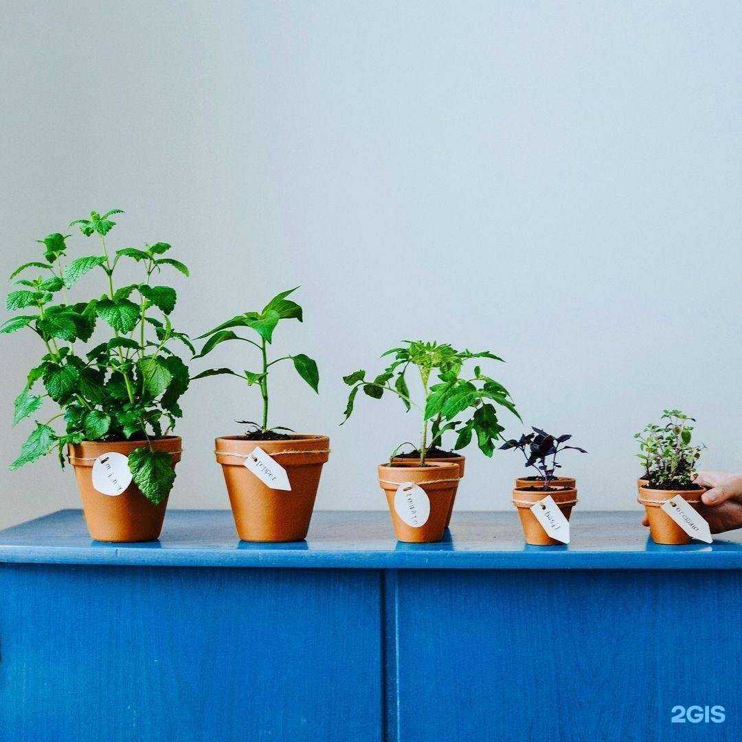 Отзывы на компанию Апрель-Сервис в г. Красноярск c фото