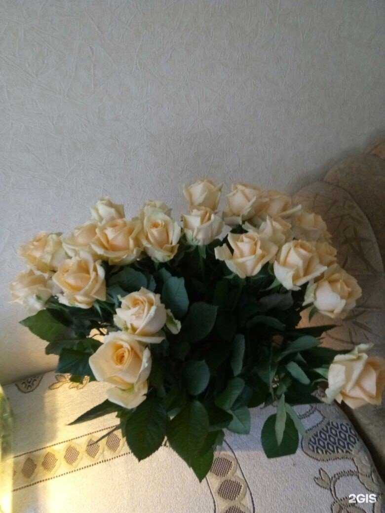 Отзывы на компанию Мир роз в Тольятти c фото