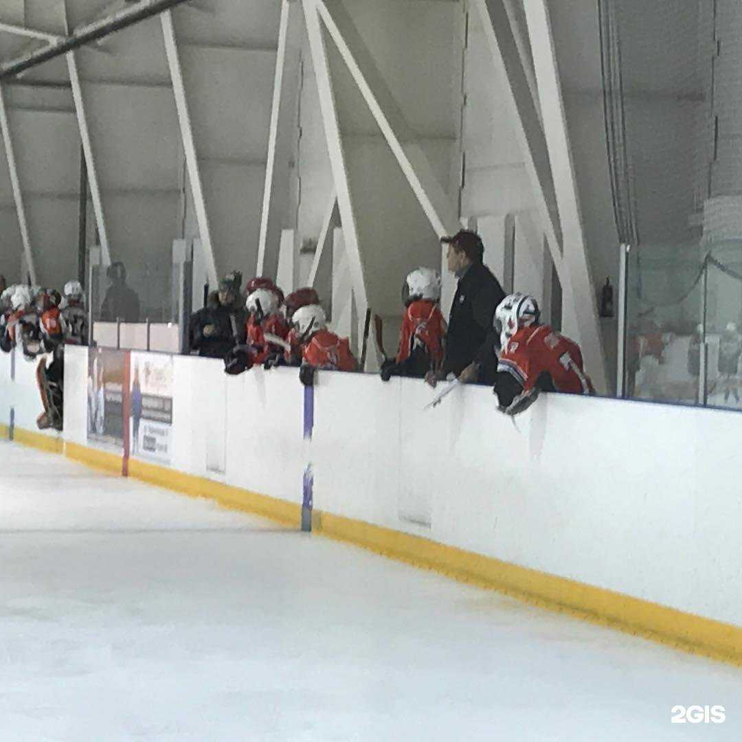 Отзывы на компанию Спортивная школа Автомобилист в Екатеринбурге c фото