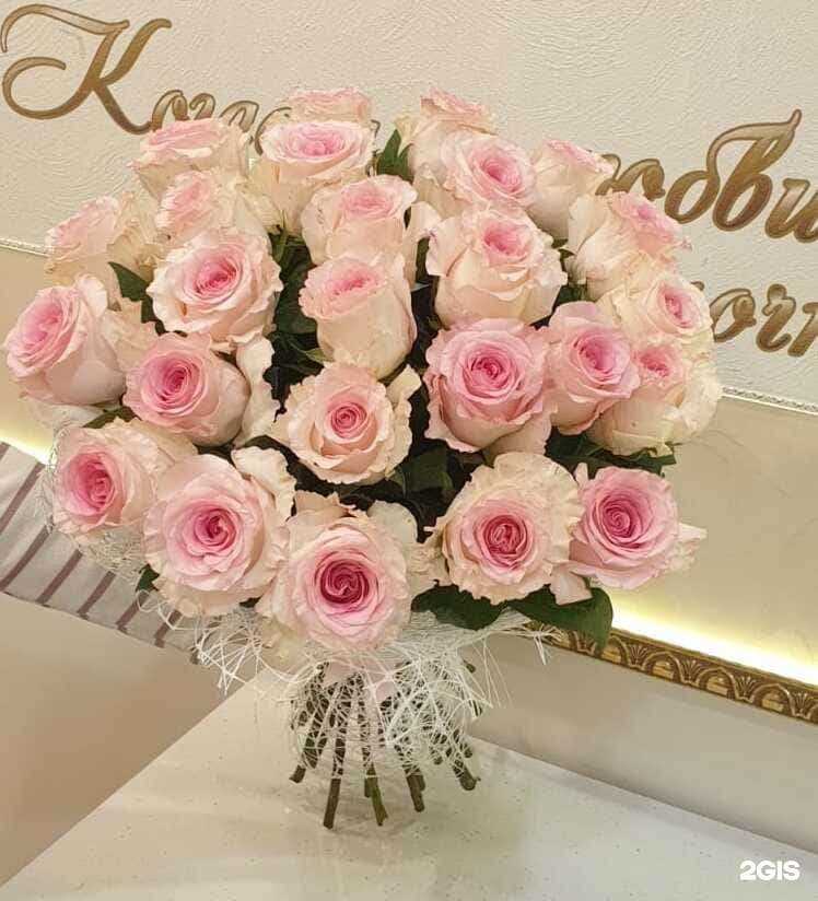 Отзывы на компанию Эквадор в г. Саранск c фото