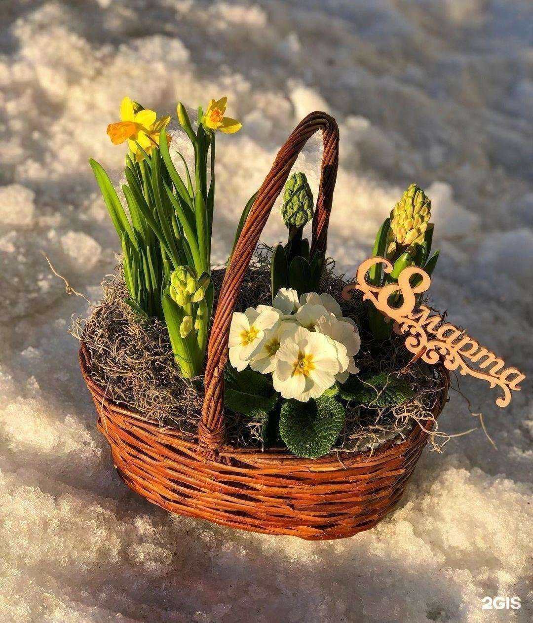 Отзывы на компанию Территория цветов в Лобне c фото