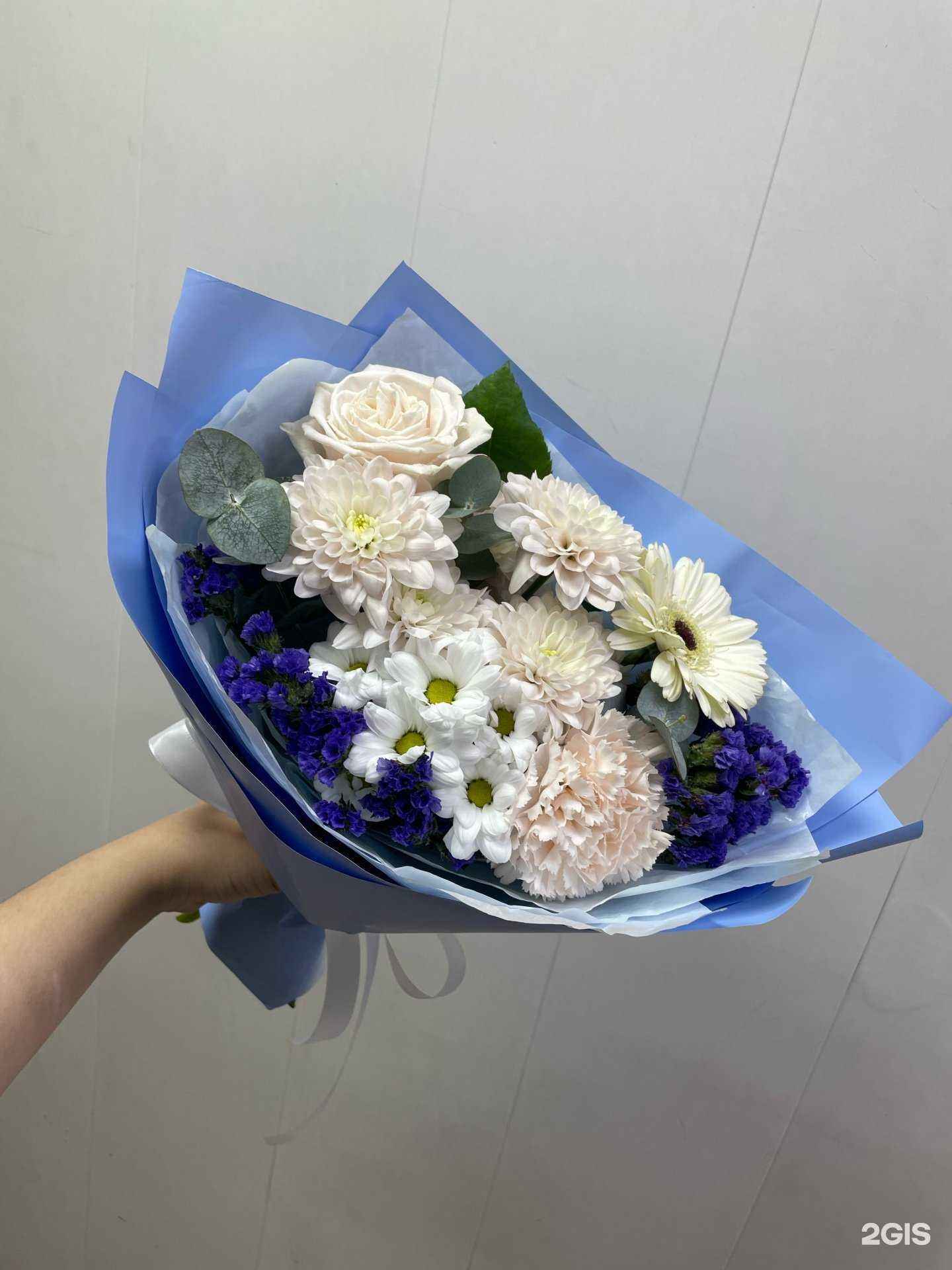 Отзывы на компанию Каталина в Саранске c фото