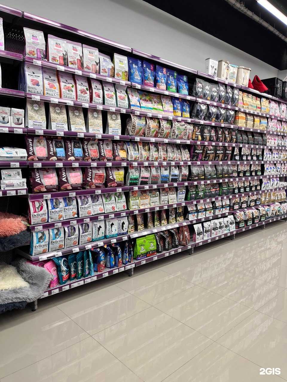 Отзывы на компанию Мокрый нос в Владивостоке c фото